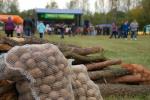 Zdjęcie DSC_0126.jpg
