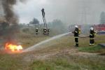 Zdjęcie DSC_0196.jpg