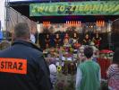 Zdjęcie DSC_0243.jpg