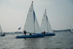 Zdjęcie DSC_0285.jpg