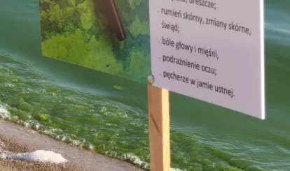 Na zdjęciu zielony kolor wody w Jeziorze Zegrzyńskim z powodu pojawienia się sinic